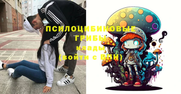 МДПВ Дмитровск