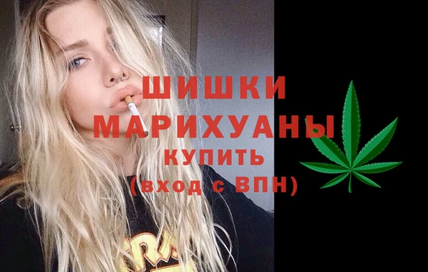 МДПВ Дмитровск